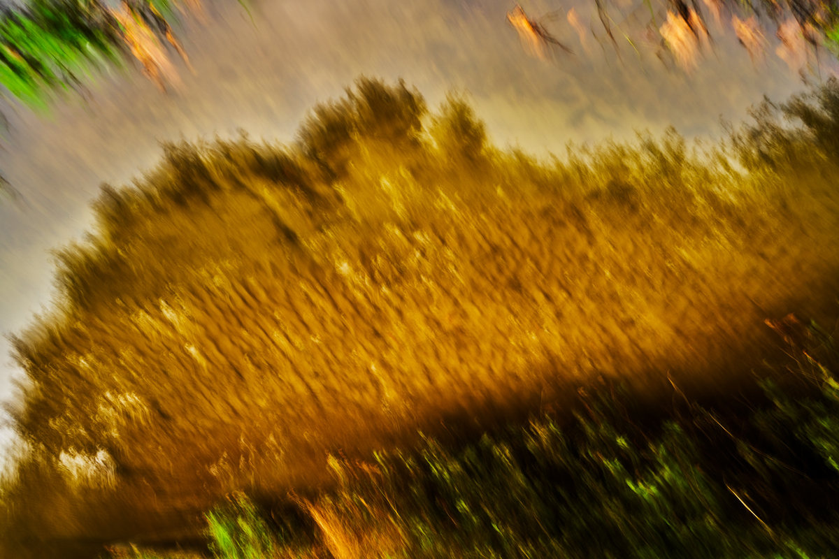 Abstract, photograph 6 of 7