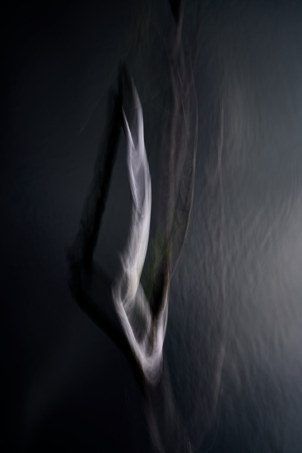 Abstract, photograph 1 of 7