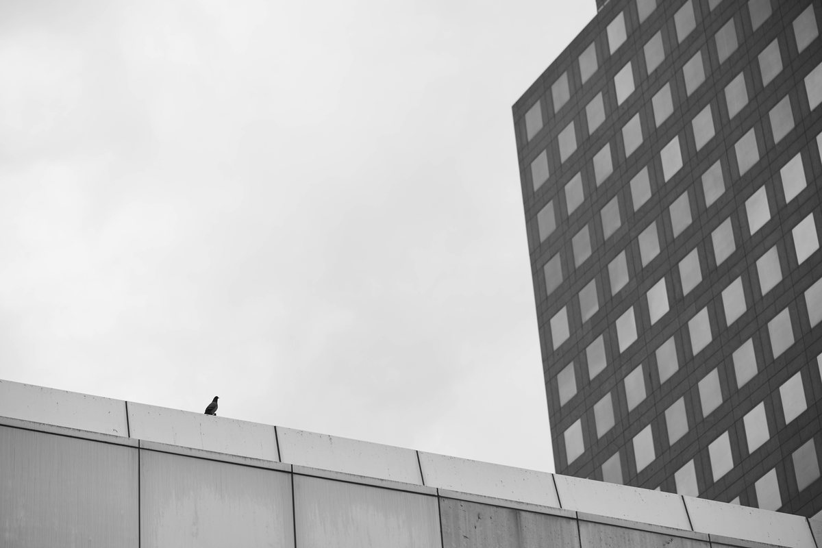 Full Emptiness, photograph 4 of 14