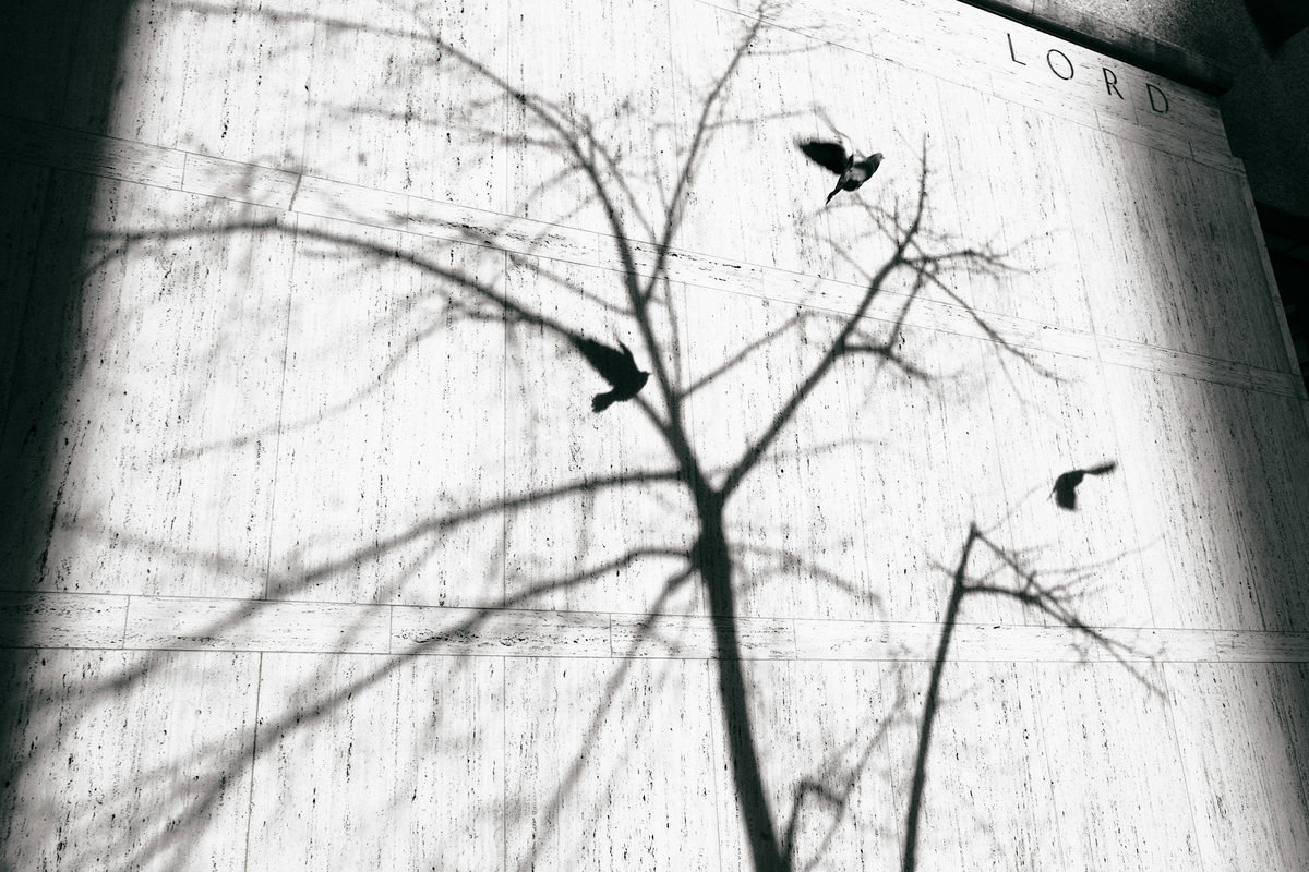 Full Emptiness, photograph 14 of 14