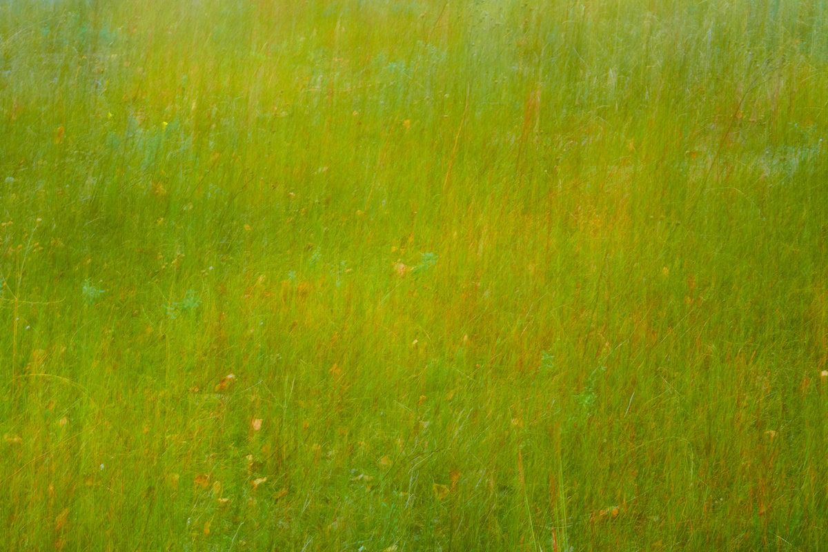 Abstract, photograph 3 of 7