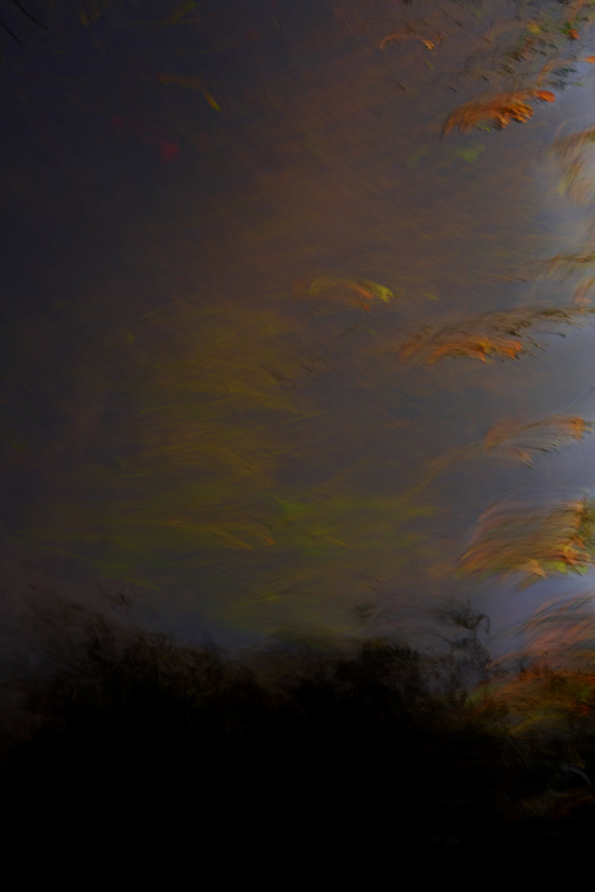 Abstract, photograph 2 of 7